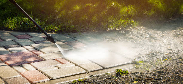 Best Spring Cleaning  in Rainelle, WV